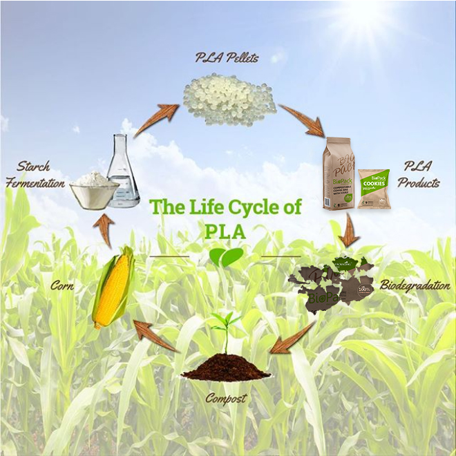 عملية قابلة للتحلل