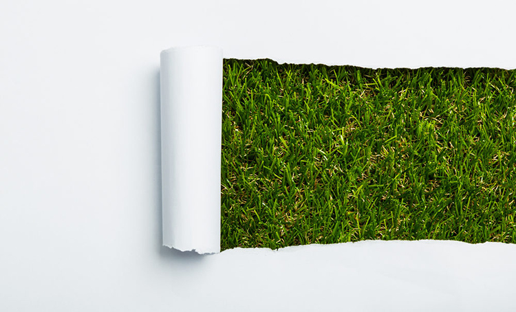 شترستوك غرا الخضراء المستدامة -1