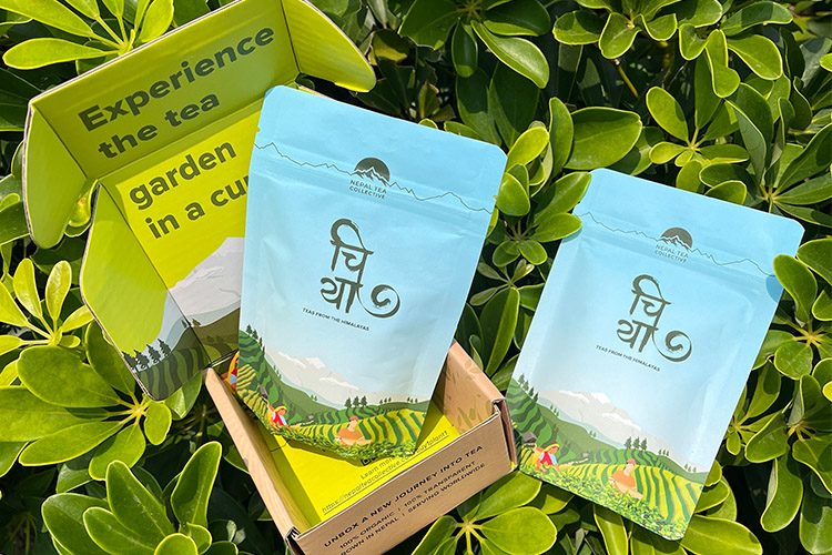 أكياس تغليف الشاي