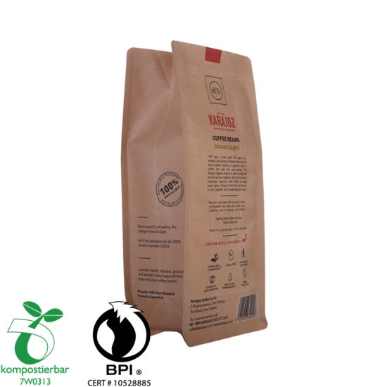 مسحوق بروتين مصل الحليب التعبئة والتغليف شقة القاع البريدي قفل حقيبة قابلة للتحلل الحيوي الصانع في الصين